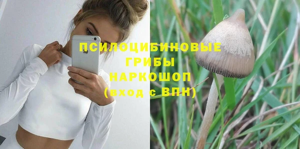 PSILOCYBIN Наволоки