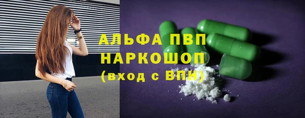 молекула духа Михайлов