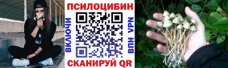 Галлюциногенные грибы ЛСД  Кемь 